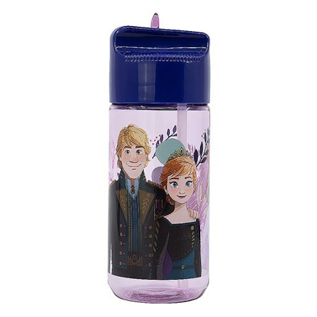 Imagen de Termo Stor Niña Frozen 660 Ml